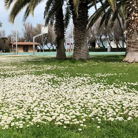 Tonia Διαμέρισμα Porto SantʼElpidio